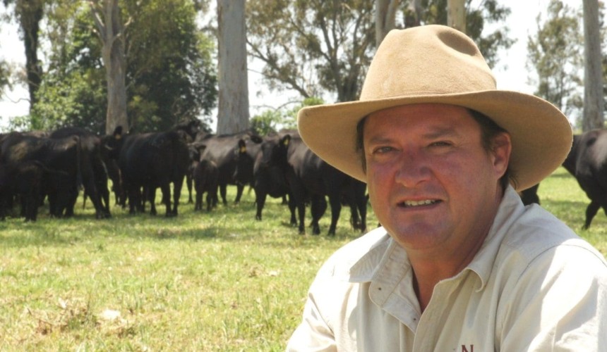 Project to enhance tick resistance in cattle earns Government support