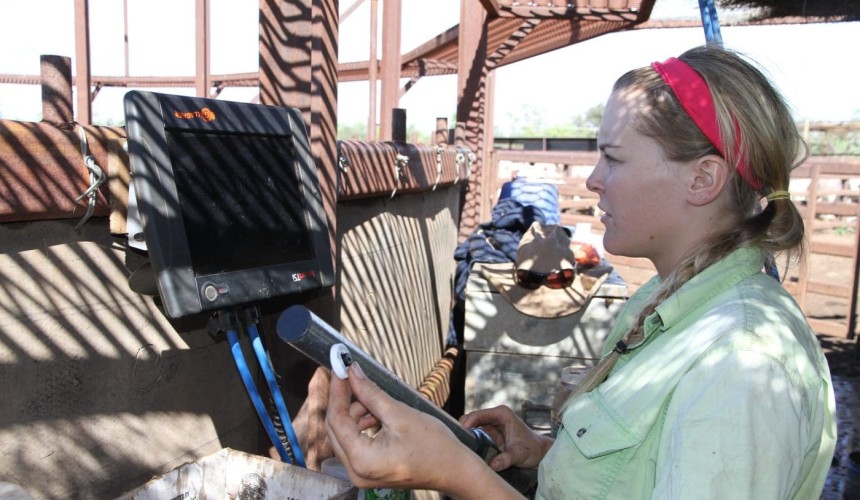 National electronic ID system for all species under consideration
