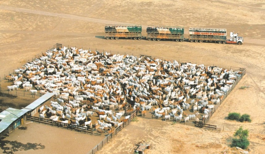 Foreign-owned land register must be made public: Senate committee