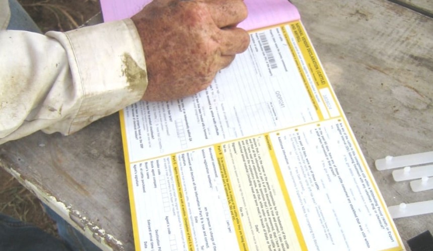 Most producers switch to current version of LPA NVD, well ahead of next month’s deadline
