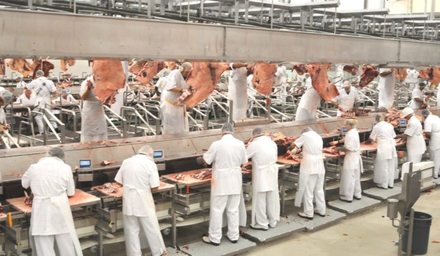 Vaccination protection programs rolling-out for meatworkers