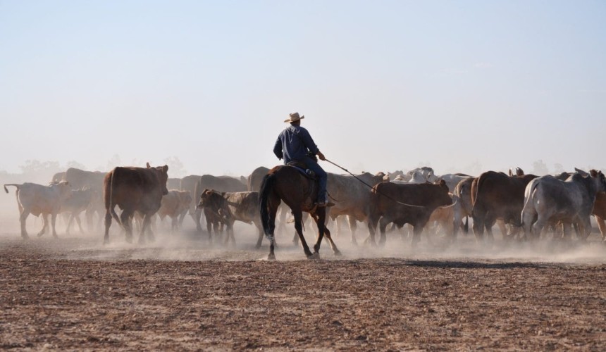 Strong result for Paraway Pastoral’s 2016 full year