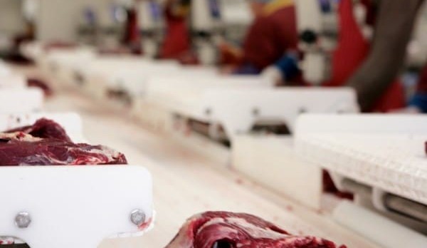 Deal may be close on Cootamundra abattoir purchase