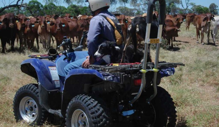 First stage quad bike safety measures now mandatory