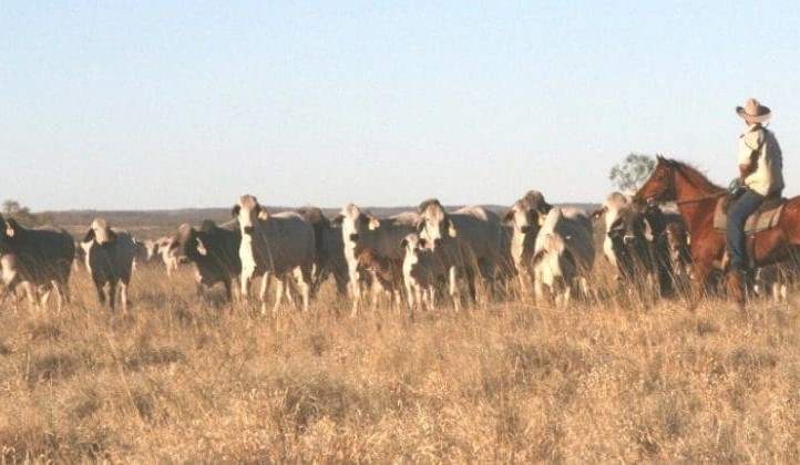 Hughes Pastoral secures Riveren and Inverway in $100m deal