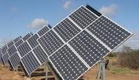 Teys aims for energy self-sufficiency with $42m project at Wagga