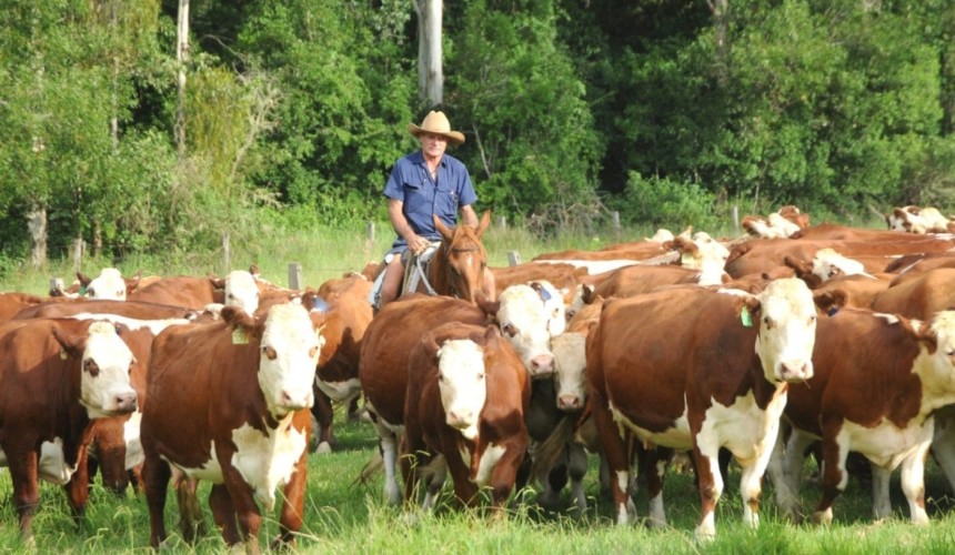 Recruitment: New and previously unseen roles emerging in the red meat supply chain