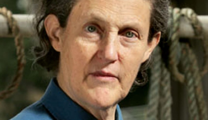 People on the Move: Appointments, retirements, achievements