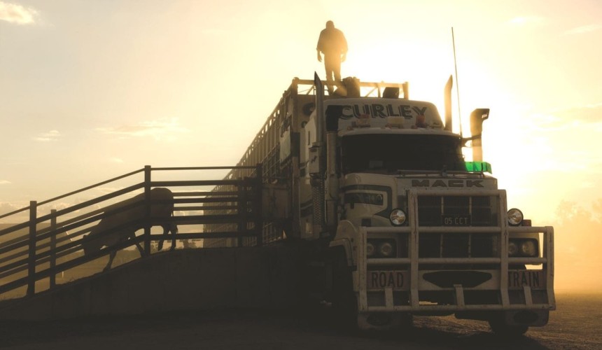 ABS data confirms record beef exports, production and producer revenue in 2025