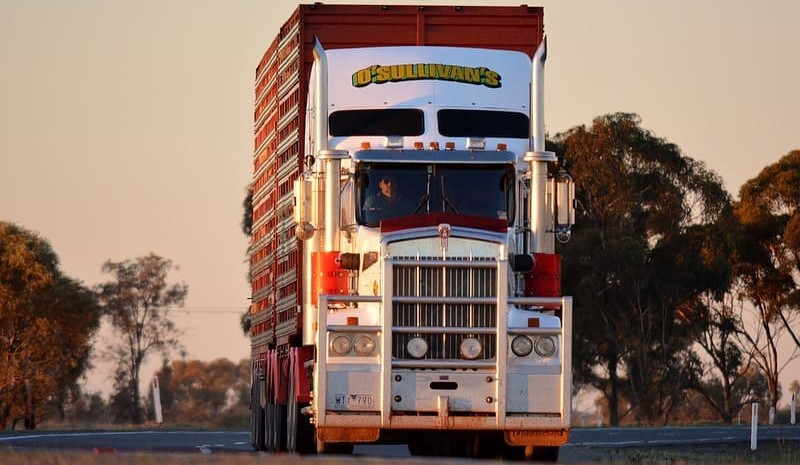 Grids head south, as ‘disconnect’ between cattle prices and meat value takes hold