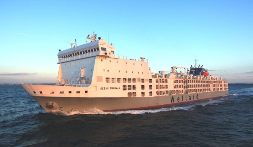 Wellard debuts on ASX