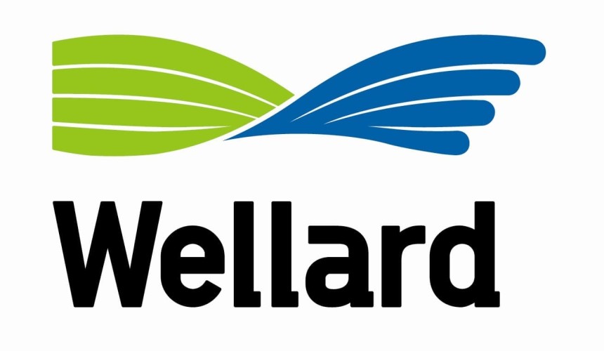Wellard issues debt restructure update, Balazarini ceases director role