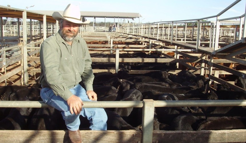 Roma Store 24 June 2014: Light weight steers to 204c