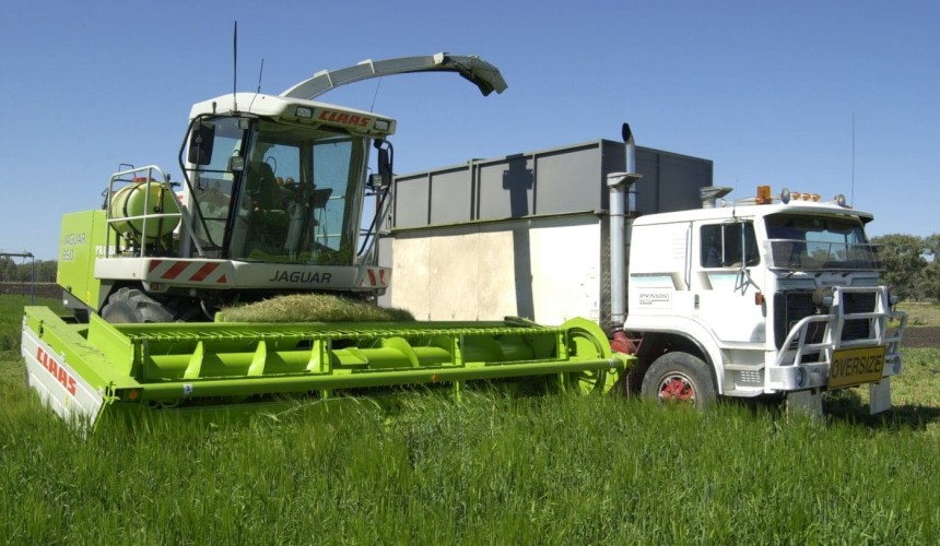 Record winter silage program looms, as seasonal swings exert impact