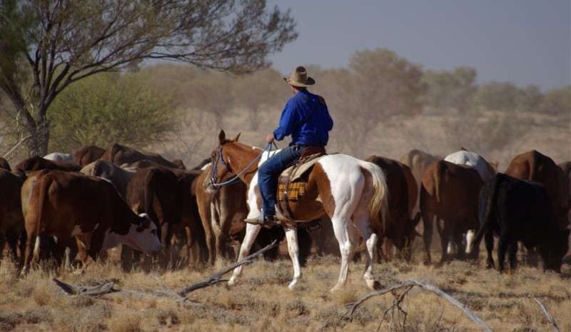 Better profits possible, for producers that focus on the right things