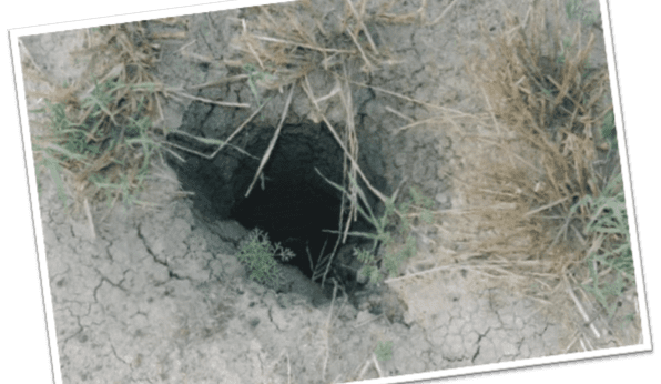 Abandoned wells fuel gas migration fears