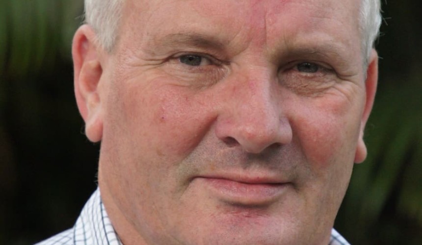 Don’t tear it down, fix what we’ve got: Polkinghorne