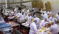 Manildra secures Cootamundra beef, lamb abattoir, despite Chinese competition