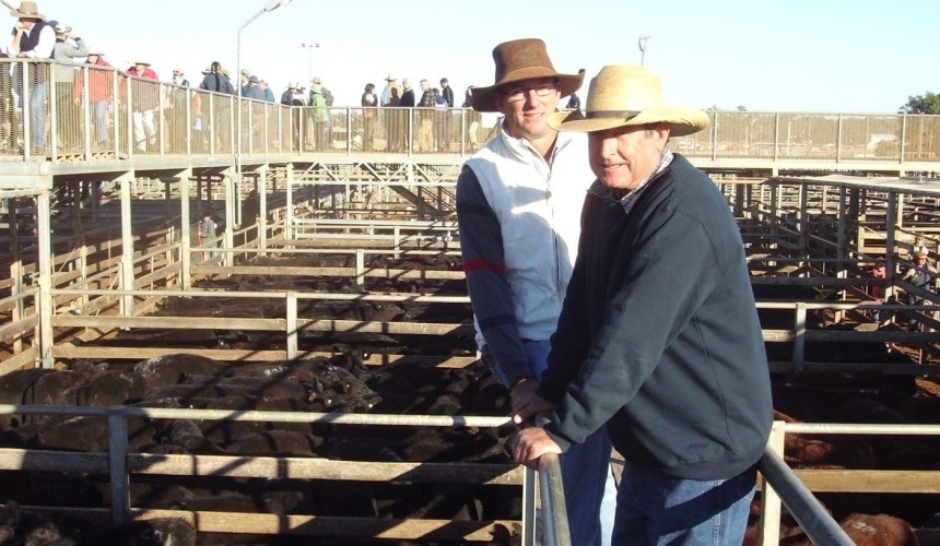 Roma Store 1 July 2014: Yarding jumps 40pc