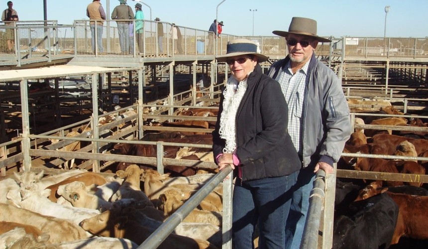 Roma Store 22 July 2014: EU steers to 206c