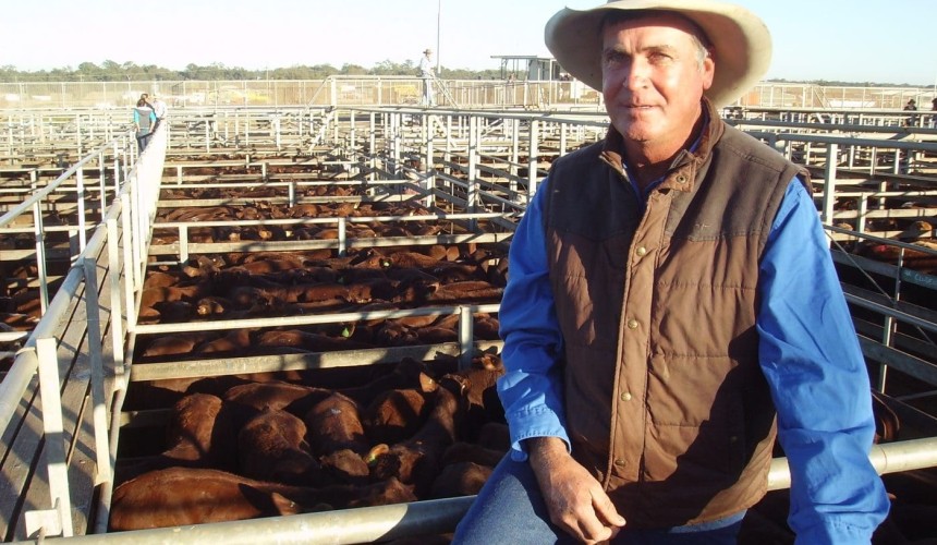 Roma Store Sale 29 Jul 2014: Heavy feeder steers to 197c