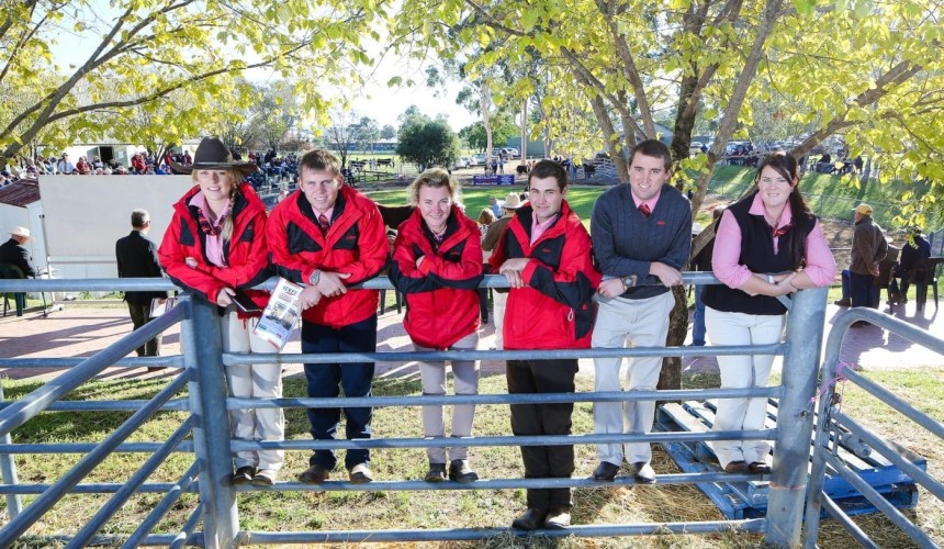 Elders calls for traineeship applications