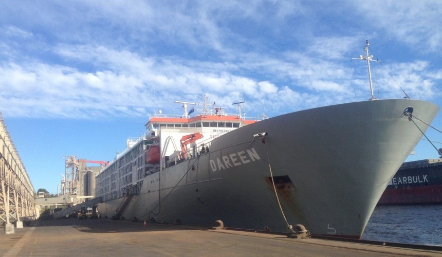 Frontier reports strong start to first export season