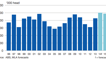 Live cattle shipments on track for record in 2014