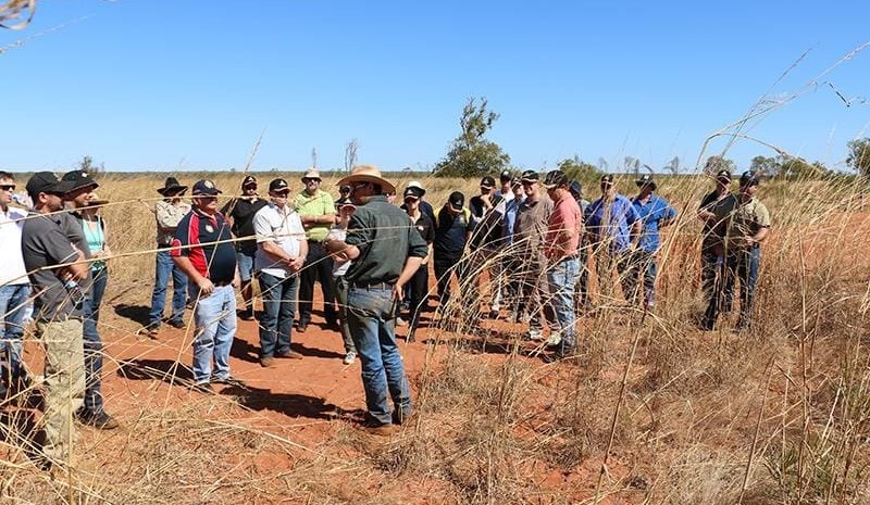 Northern Australia summer bushfire outlook released