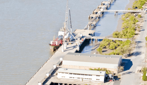 Feasibility of live exports from Rockhampton under the microscope