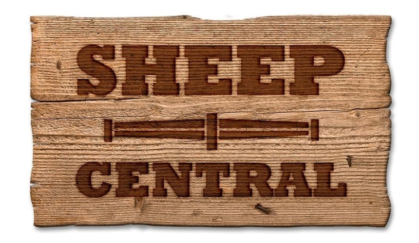 Beef Central business expands, with launch of Sheep Central website