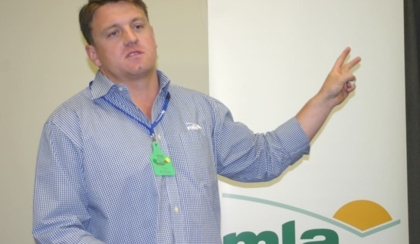 Cattle price rises a matter of when, not if, says MLA
