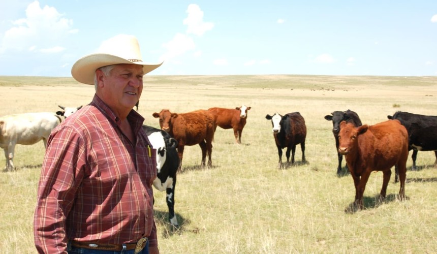 Competitor watch: Drought helps push US cattle inventory 1.3m lower