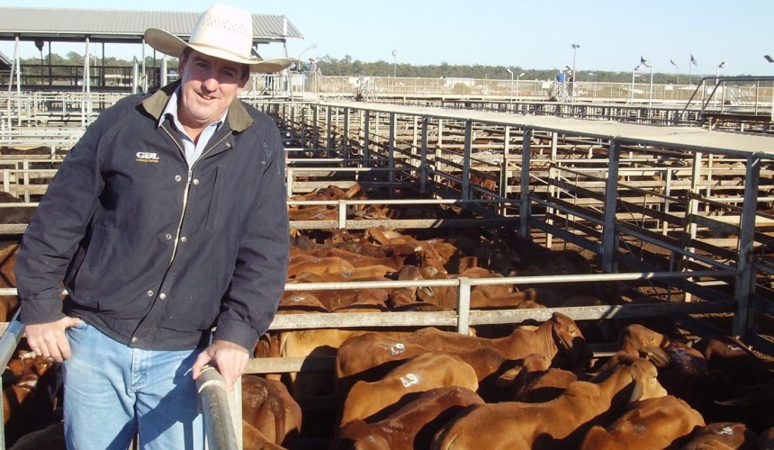Roma Store 27 Aug 2014: Light steers to 217c