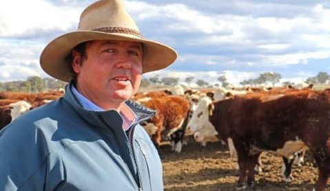 Science backs Hereford eating quality in progeny test project