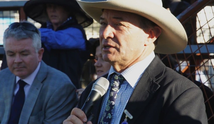 2014 spring bull season outlook: Conservative approach is the rule