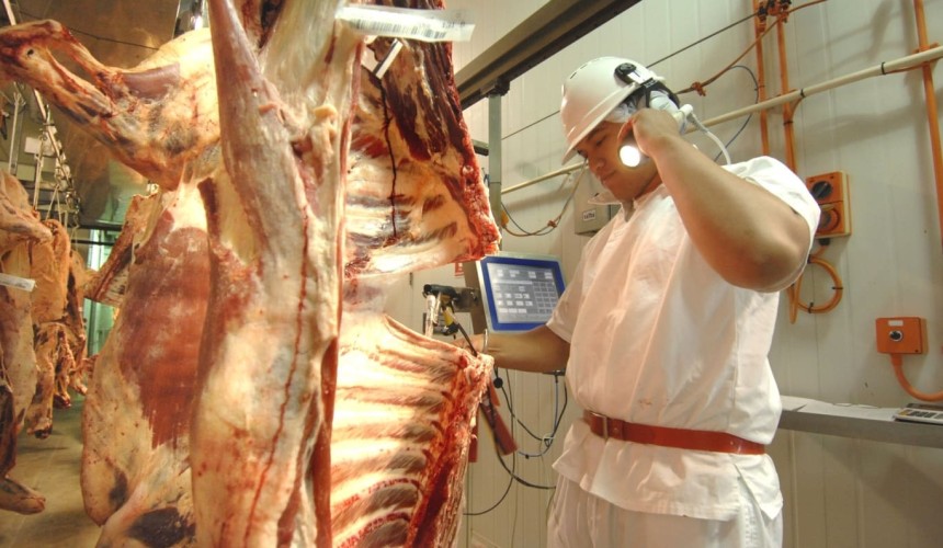 August shapes up as slim pickings for desperate beef processors