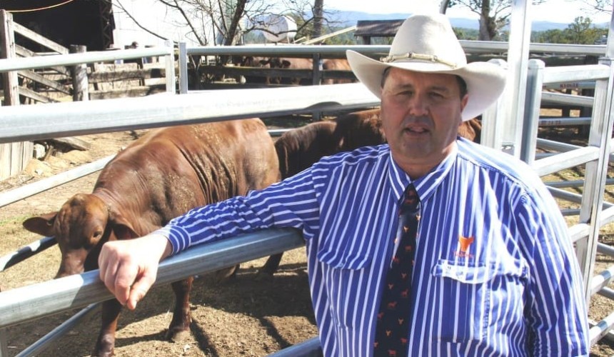 Charolais, Santa crosses headline weightgain section of RNA Paddock to Palate competition