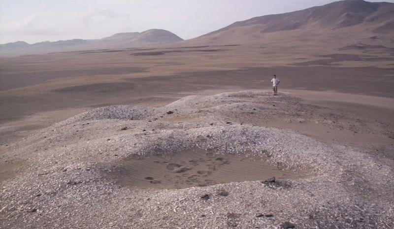 El Niños 10,000 years ago were as strong and frequent as today