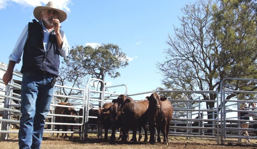 Weekly genetics review: Is the crossbreeding advantage being overlooked?