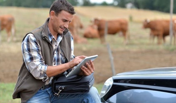 Facebook: Another way livestock marketing is changing