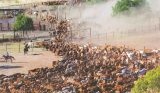 Property: $8.6m Macdonald Downs deal continues strong sales in Central Australia
