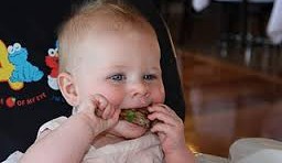 Nutrition: Study reveals toddlers’ diets at risk of iron deficiency