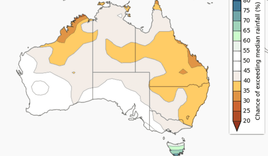 Drier than normal three months ahead: BOM