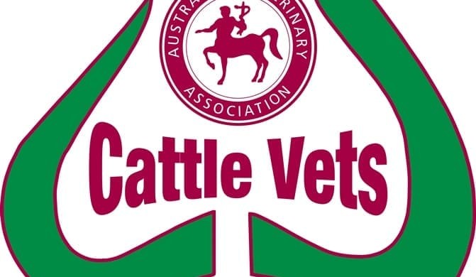 Cattle and sheep vets gather in Tasmania to support agriculture