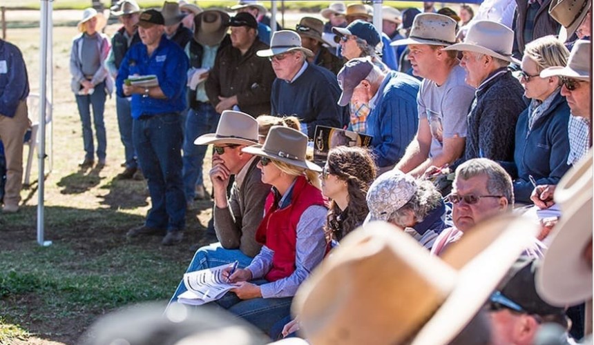 Weekly genetics review: 2020 proved to be a year to remember