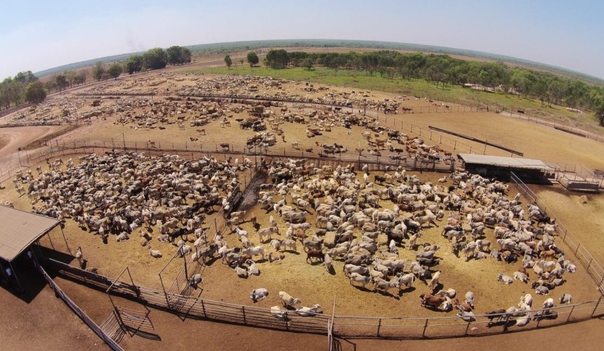 Exporters on horns of Indonesian permit dilemma