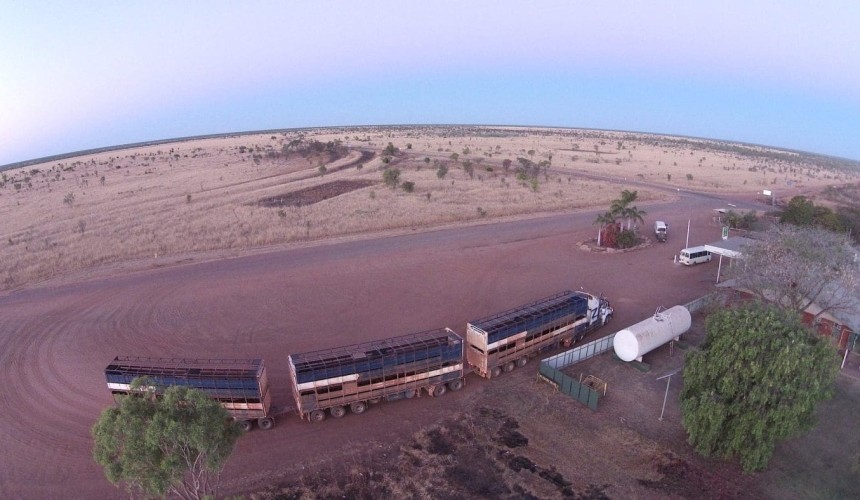 NT cattle producers slam ‘ludicrous’ new COVID rules