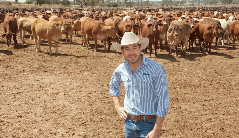BeefEx: Qld lotfeeder elected ALFA president