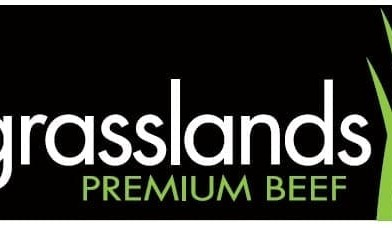 Teys to launch its own pasturefed standard, as alternative to PCAS